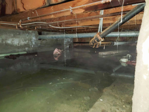 Best Ceiling water damage repair  in Bayou Gauche, LA