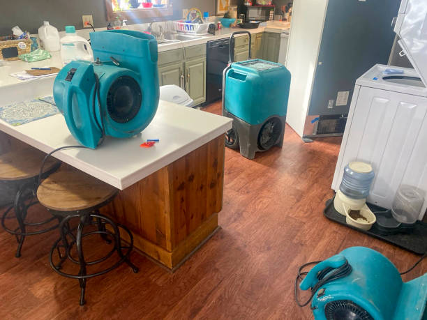 Best Professional water damage repair  in Bayou Gauche, LA