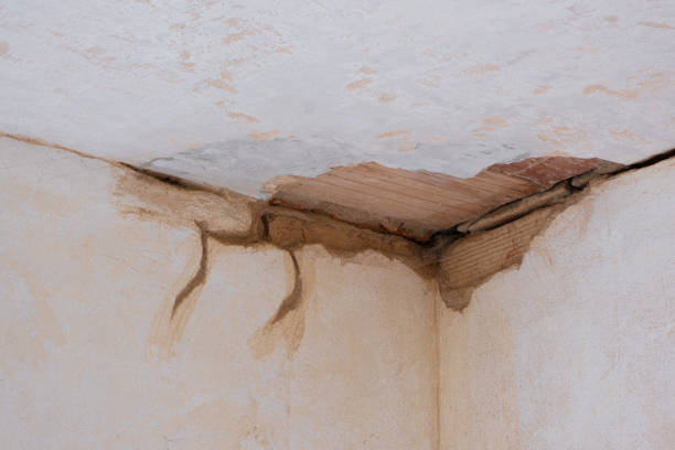 Reliable Bayou Gauche, LA Water damage restoration Solutions