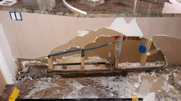 Best Mold removal after water damage  in Bayou Gauche, LA
