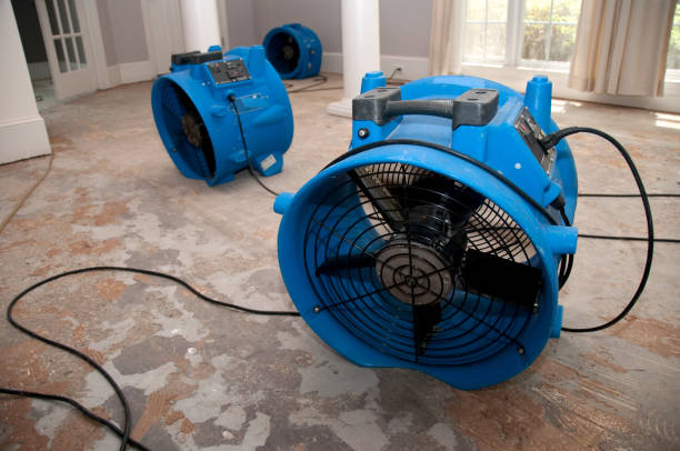 Best Flood damage cleanup  in Bayou Gauche, LA