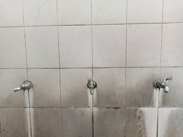 Best Sewage cleanup and water damage restoration  in Bayou Gauche, LA