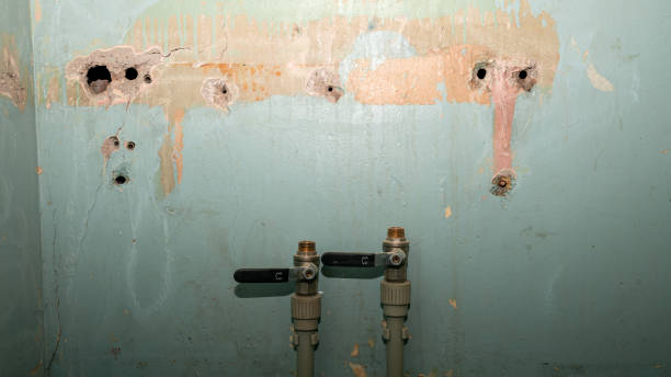Best 24/7 water damage repair  in Bayou Gauche, LA