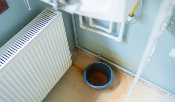 Best Professional water damage repair  in Bayou Gauche, LA