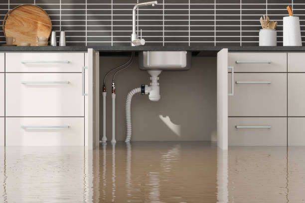 Best Residential water damage restoration  in Bayou Gauche, LA