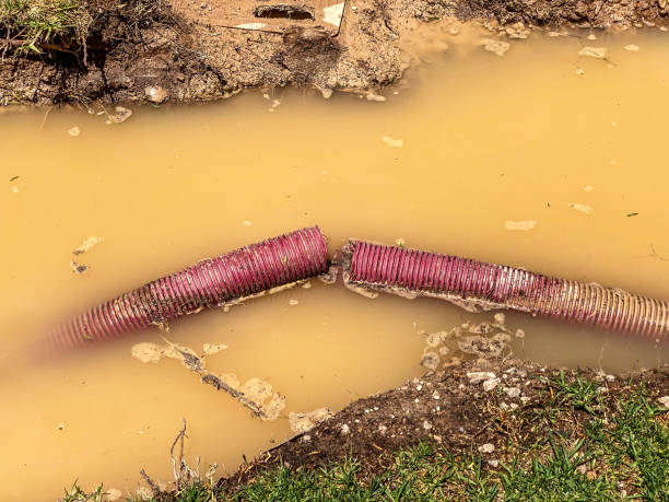 Best Flood restoration services  in Bayou Gauche, LA
